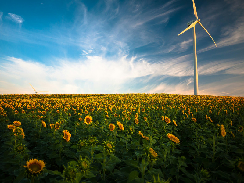 Erneuerbare Energien Erneuerbare Energien
